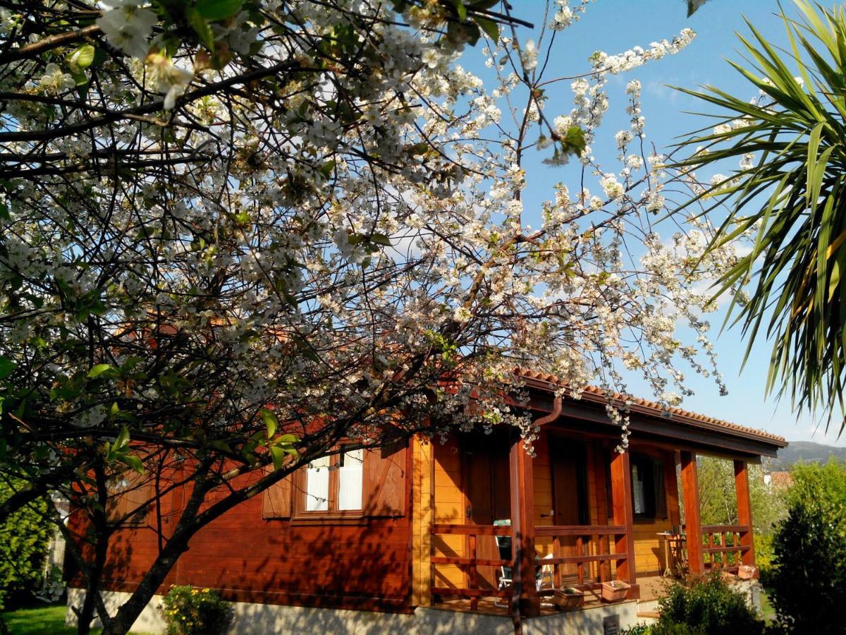 Villa Mi Cabana Ribadumia Exterior foto
